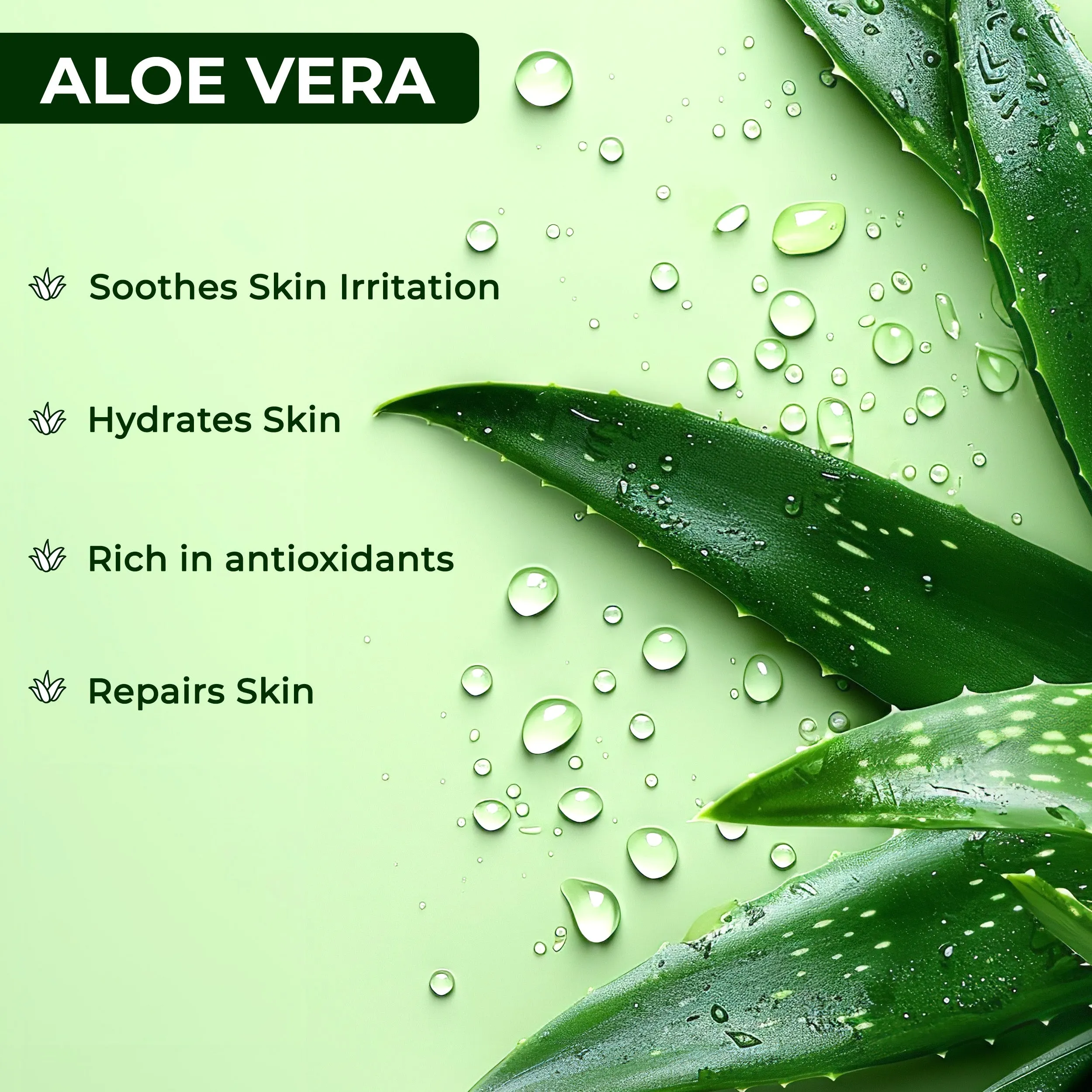 Aloe Vera Cooling Gel Body Lotion| Instant Cooling Sensation | Non Sticky Comfort